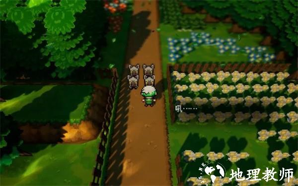 宝可梦伽马绿宝石汉化版1