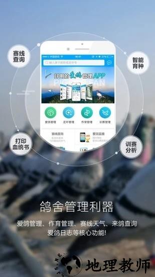 爱鸽者app3