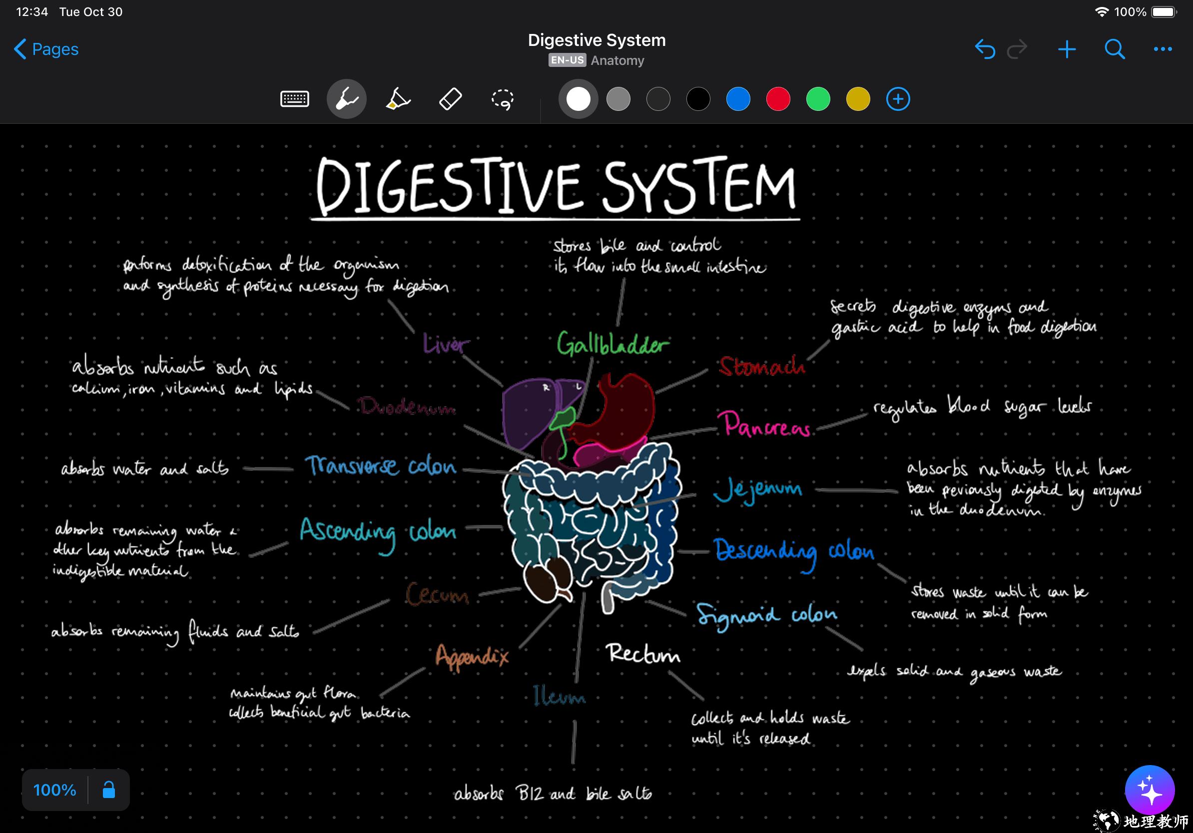 MyScript Notes3