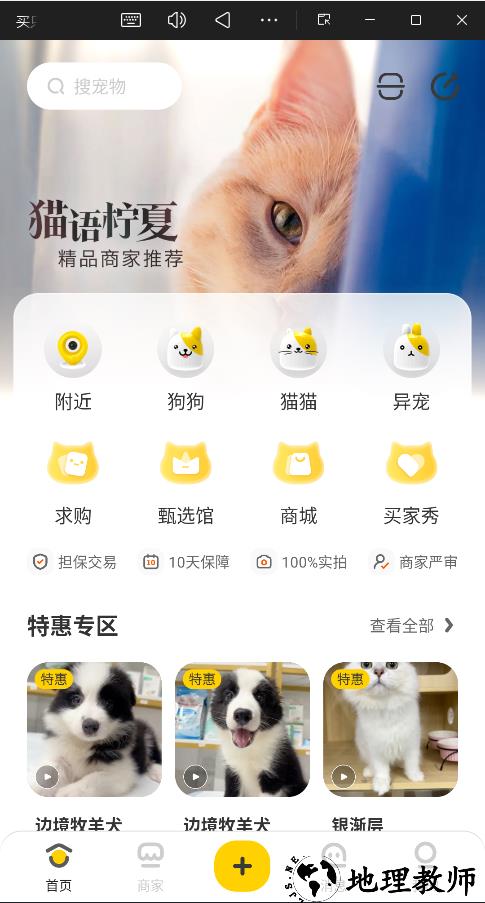 买只宠物官方版4