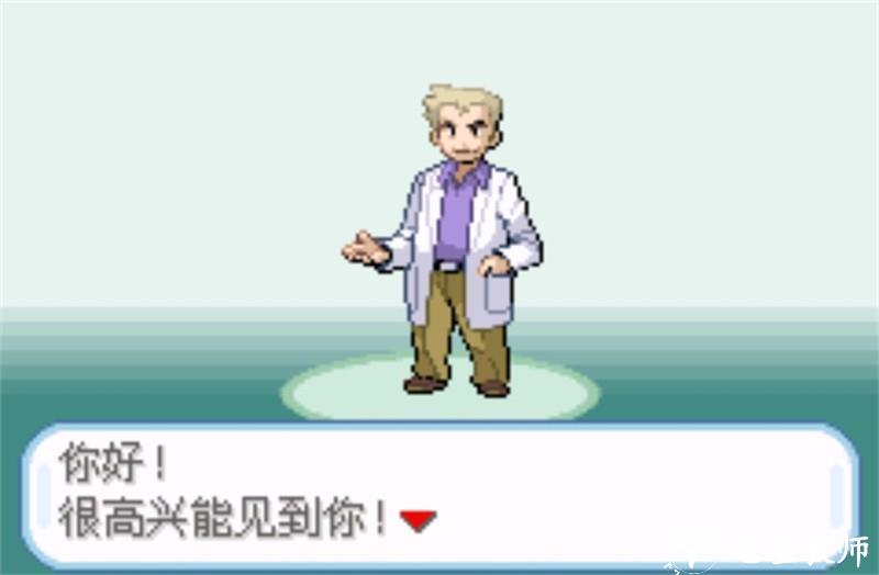 口袋妖怪融合维度汉化版2