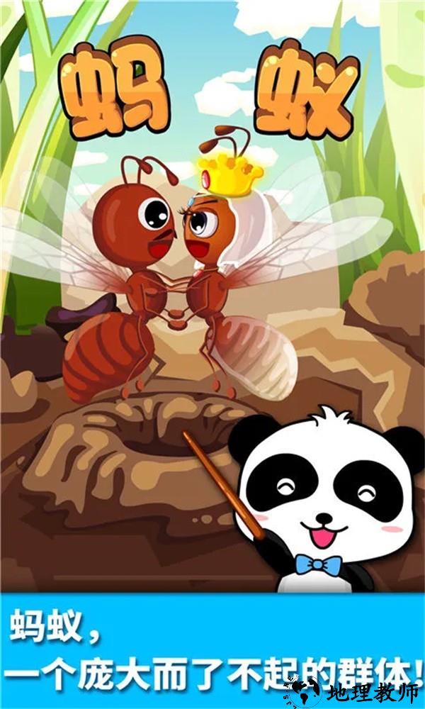 宝宝认蚂蚁最新版1
