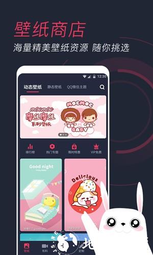 羞兔动态壁纸app2