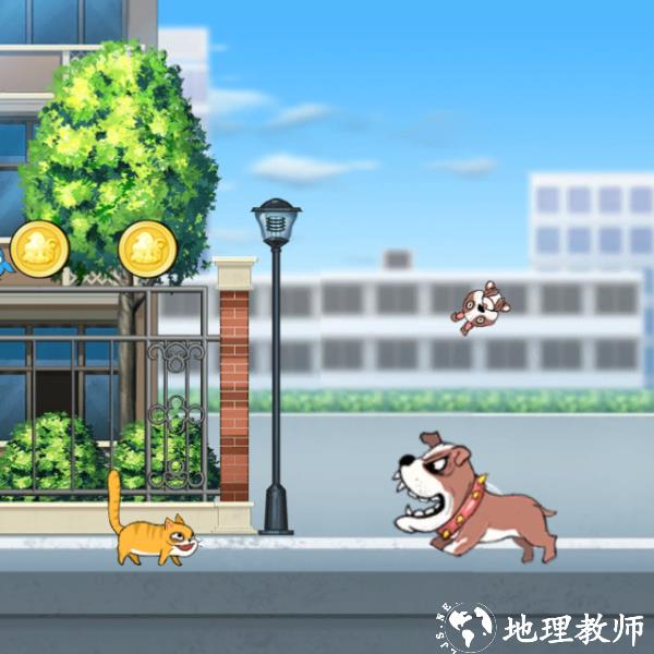 喵星人快跑最新版