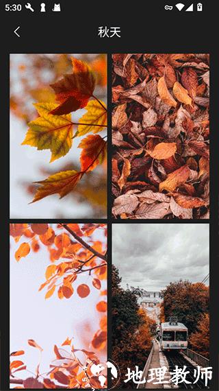 口袋免费壁纸app3