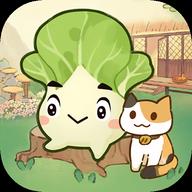 治愈小院正版