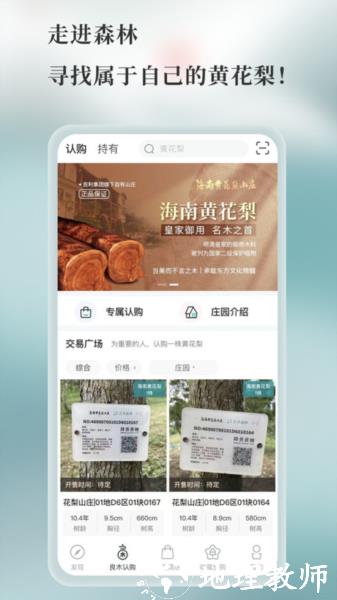 良木森林4