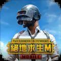 越南服pubg