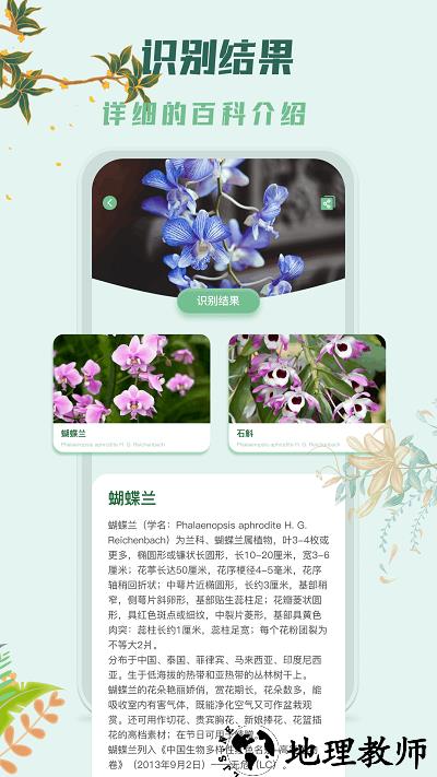 识花君拍照识别植物app2