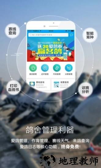 爱鸽者app1
