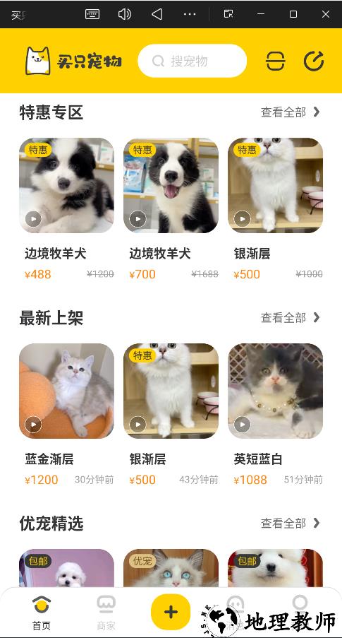 买只宠物官方版3