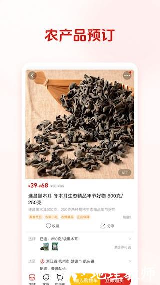 网上农博3