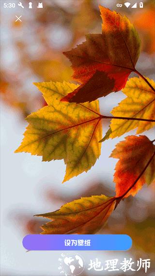 口袋免费壁纸app2