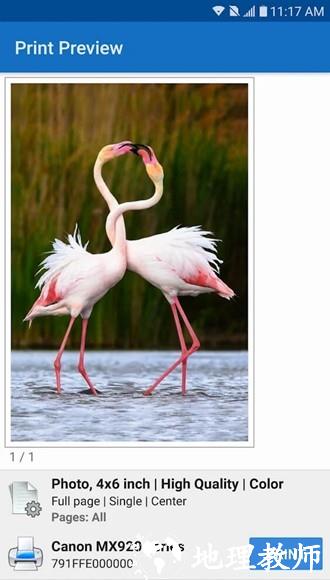 NokoPrint高级解锁版3