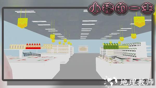 小猪的一生模拟器4