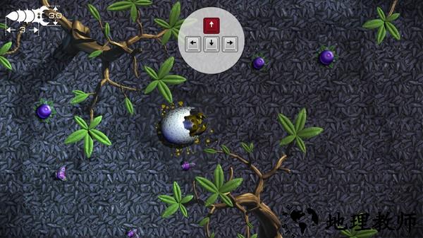 食肉虫模拟器正版4