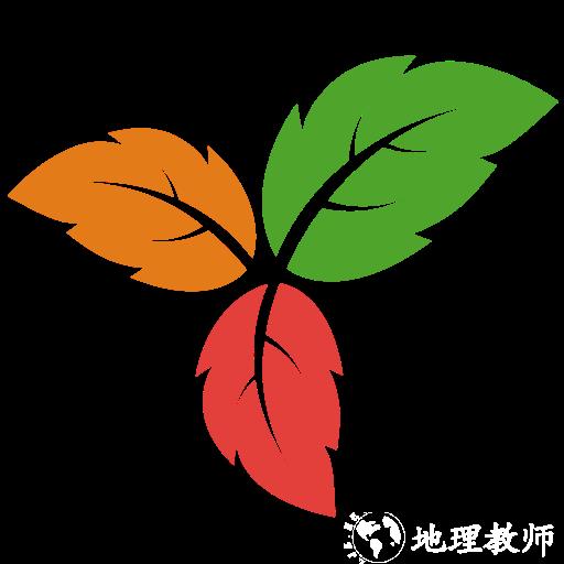 Trilium笔记