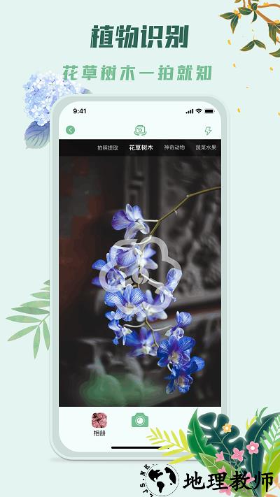 识花君拍照识别植物app1