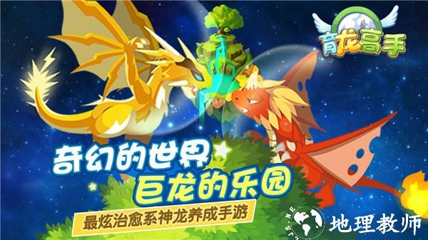 育龙高手内置配方版2