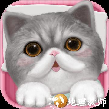 心动小猫免费版