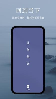 冥想猫睡眠1