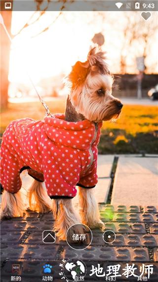 4K高清壁纸精灵app2