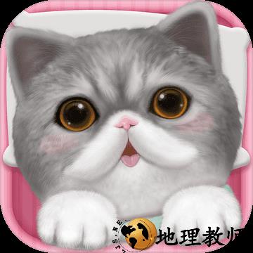 心动小猫手机版