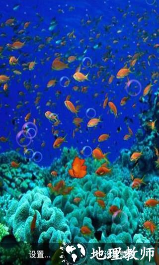 海底动态壁纸app2