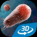 细菌互动教育最新版