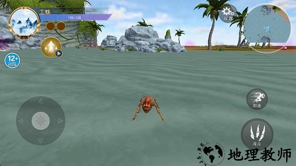 蜘蛛模拟生存单机版2