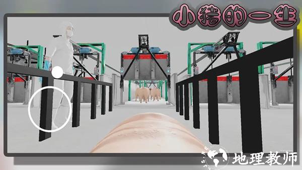 小猪的一生模拟器2