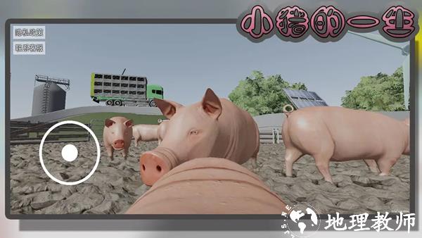 小猪的一生模拟器1