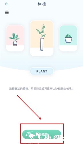 柠檬点点种植物图片3