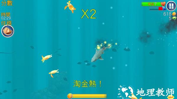 饥饿的鲨鱼进化图片15