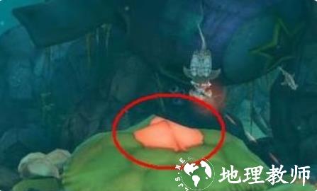 饥饿的鲨鱼进化图片12