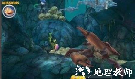 饥饿的鲨鱼进化图片11