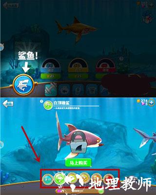 饥饿鲨世界图片5