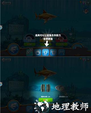 饥饿鲨世界图片7