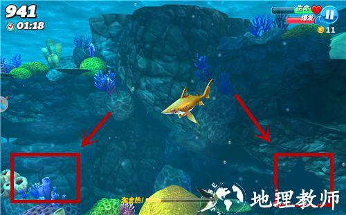 饥饿鲨世界图片12