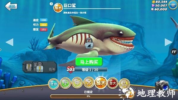 饥饿鲨世界图片