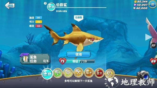 饥饿鲨世界图片