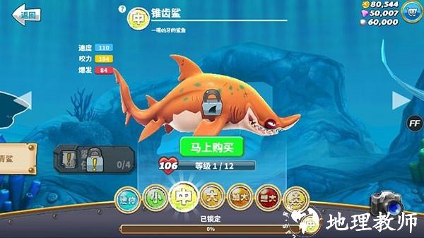 饥饿鲨世界图片