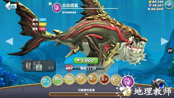 饥饿鲨世界图片