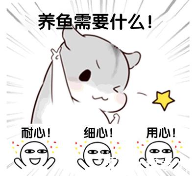 萌鱼泡泡图片17