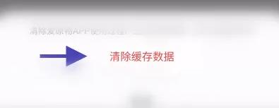 爱原物清除缓存数据图片2