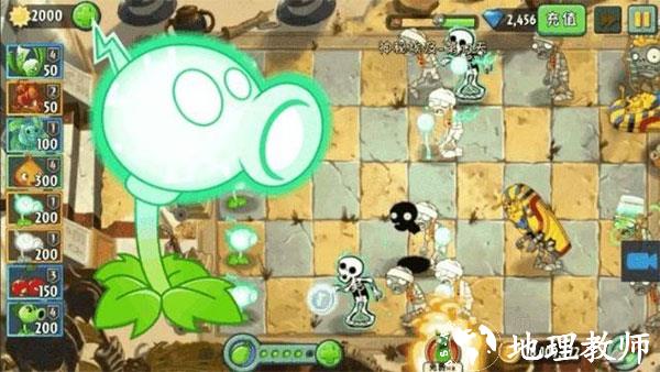 植物大战僵尸21