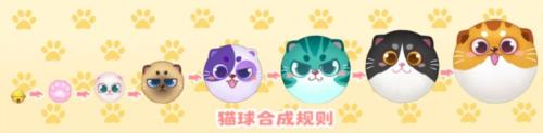 梦幻魔法屋图片3