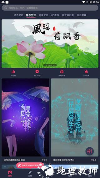 羞兔动态壁纸12