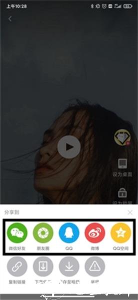 羞兔动态壁纸10