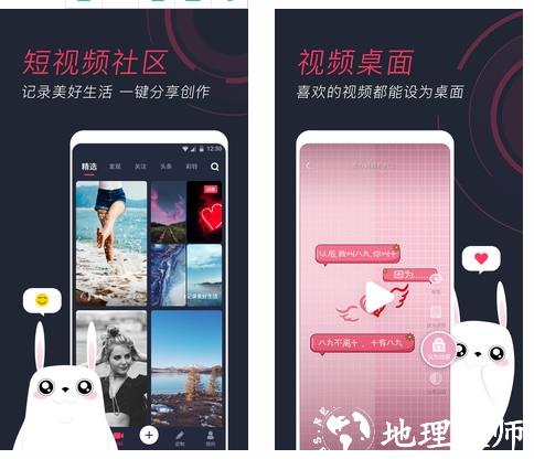 羞兔动态壁纸1